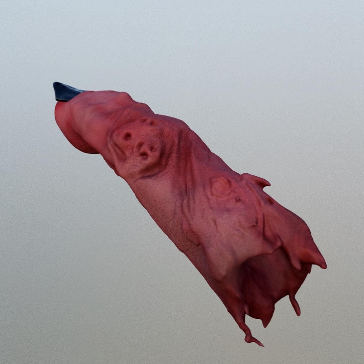 Sukuna Ryoumen Finger Jujutsu Kaisen 3D print model_32