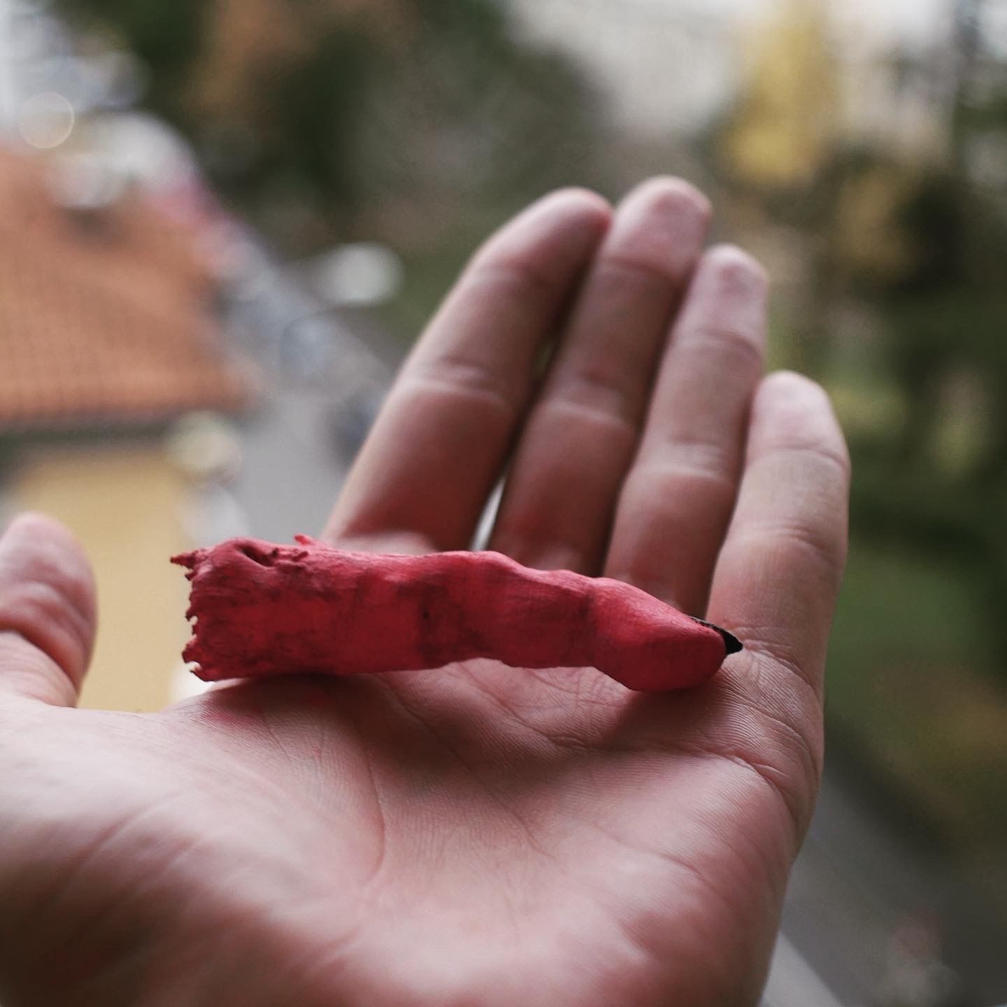 Sukuna Ryoumen Finger Jujutsu Kaisen 3D print model_5