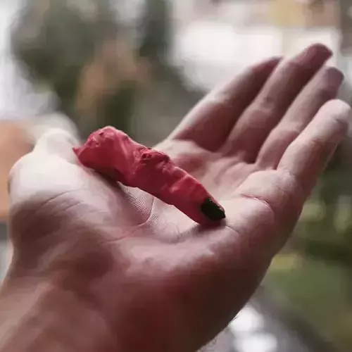 Sukuna Ryoumen Finger Jujutsu Kaisen 3D print model