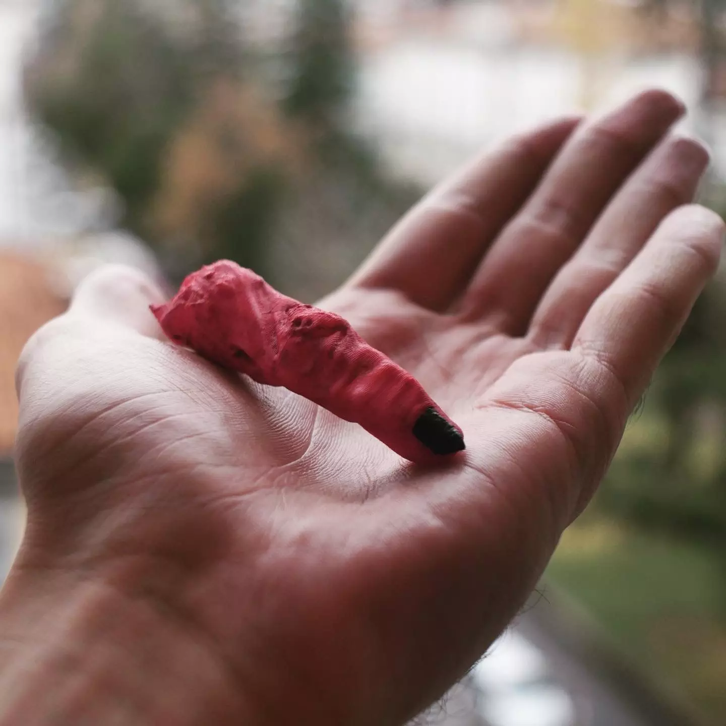 Sukuna Ryoumen Finger Jujutsu Kaisen 3D print model_0