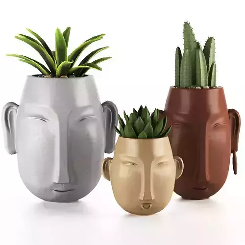decore set three concrete planters with cactus plants