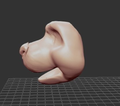 FELINE FURSUIT HEAD TOONY -removeable noes- 3D print model_4