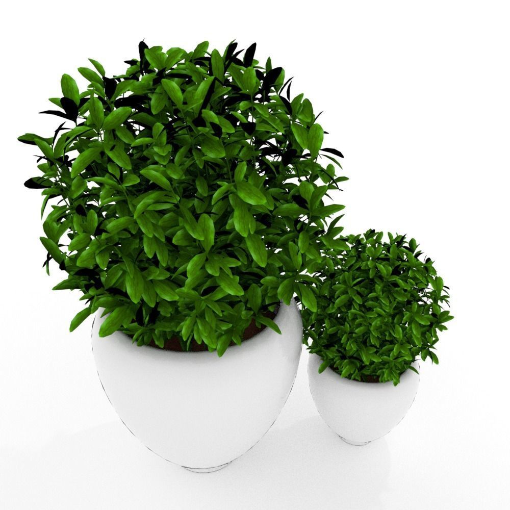 Plants modern 3d 3D model Free 3D model_1