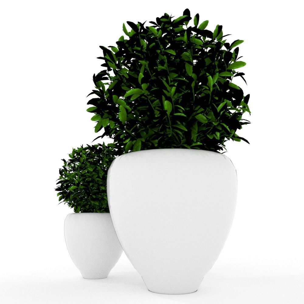 Plants modern 3d 3D model Free 3D model_2