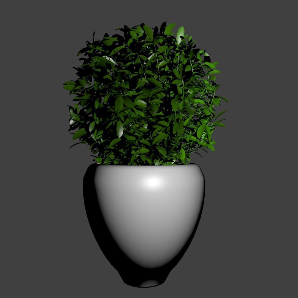 Plants modern 3d 3D model Free 3D model_5