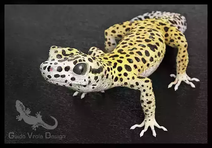 Leopard Gecko 3D model