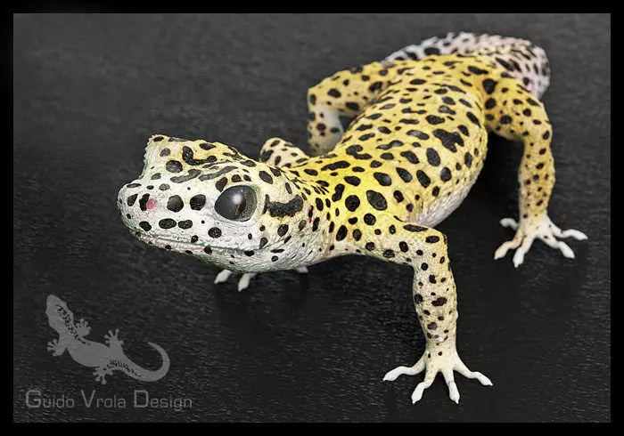 Leopard Gecko 3D model_0