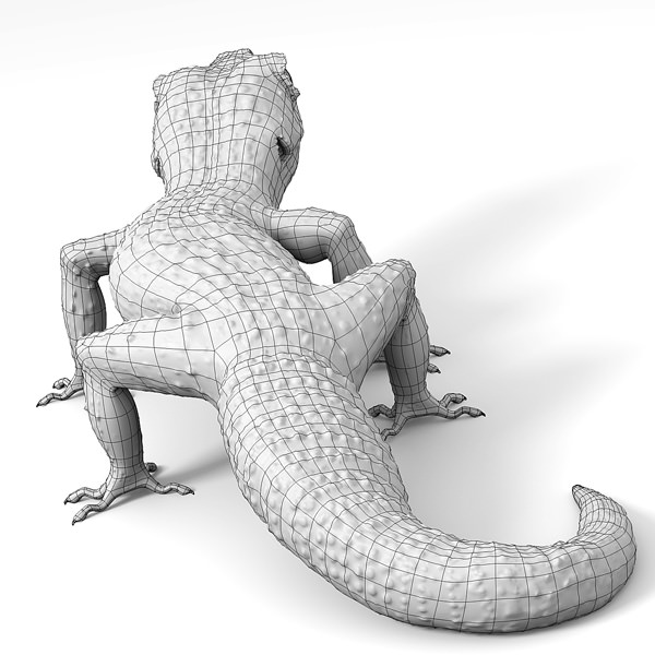 Leopard Gecko 3D model_8