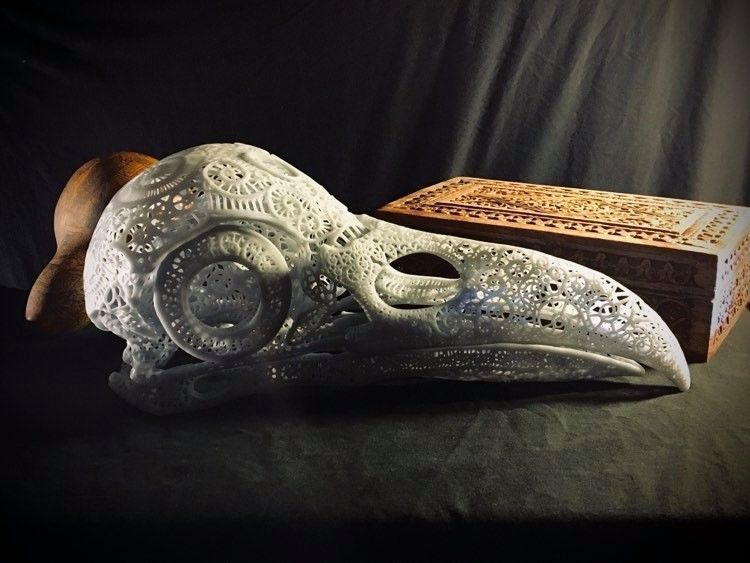 Filigree Anatomical Raven Skull - Pre-supported STL 3D print model_2