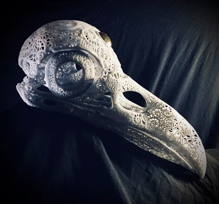 Filigree Anatomical Raven Skull - Pre-supported STL 3D print model_5