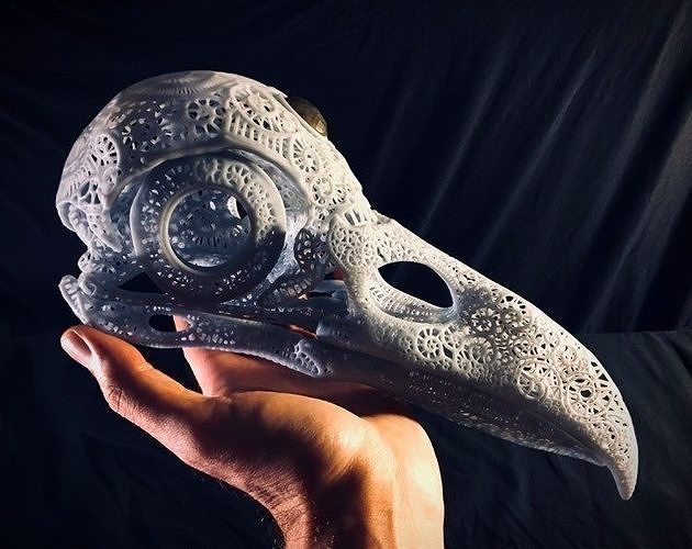 Filigree Anatomical Raven Skull - Pre-supported STL 3D print model