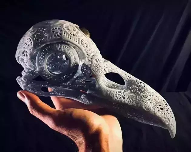 Filigree Anatomical Raven Skull - Pre-supported STL 3D print model