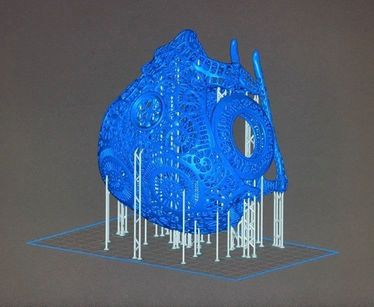 Filigree Anatomical Raven Skull - Pre-supported STL 3D print model_8