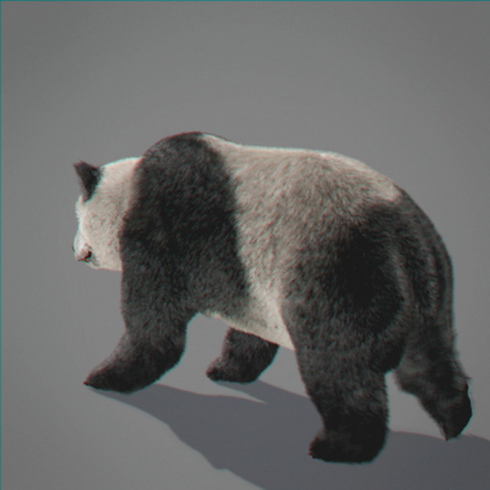 Panda Bear 3D model_9