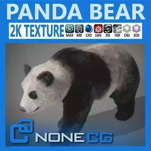 Panda Bear