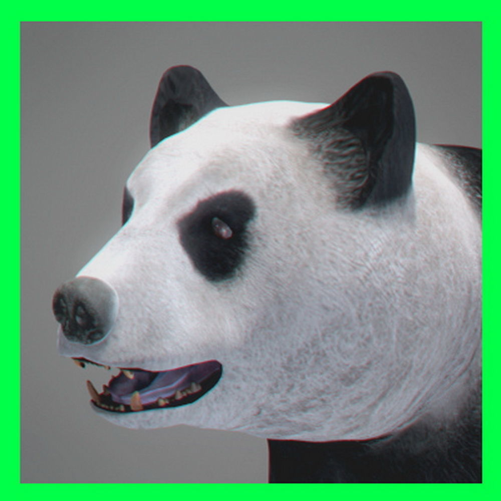 Panda Bear 3D model_1