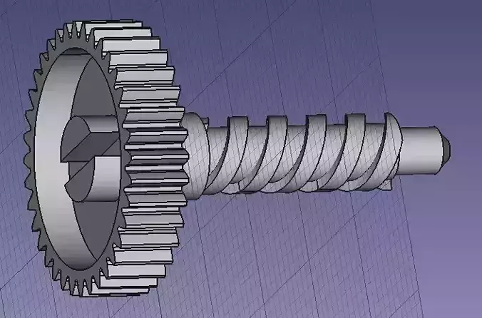 Gear worm gear
