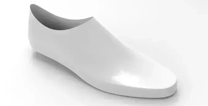 Shoe Moccasin 3D print model