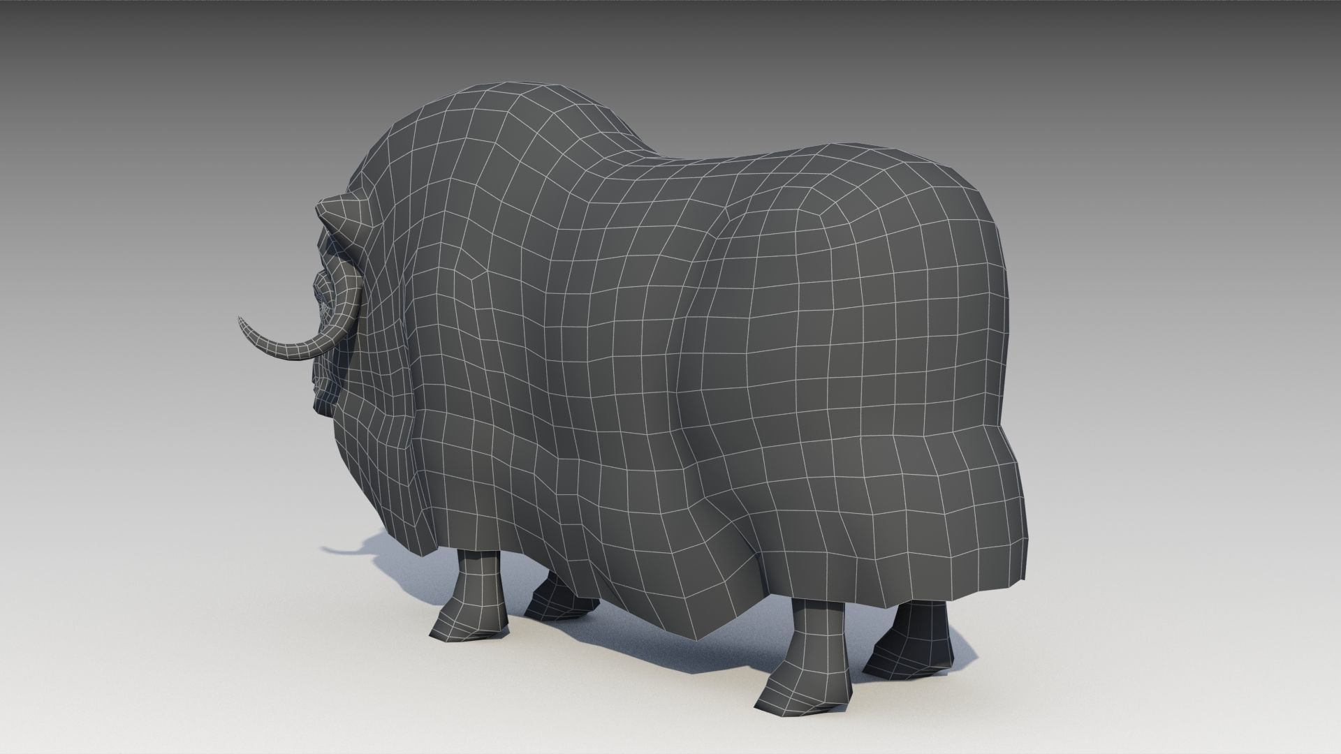 Muskox yak Low-poly 3D model_14