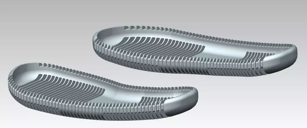 Shoe Insole 3D print model