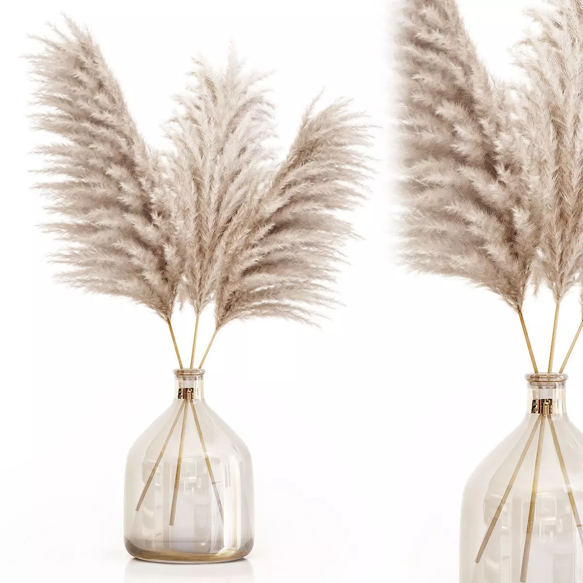 Pampas grass in glass vase 7 3D model