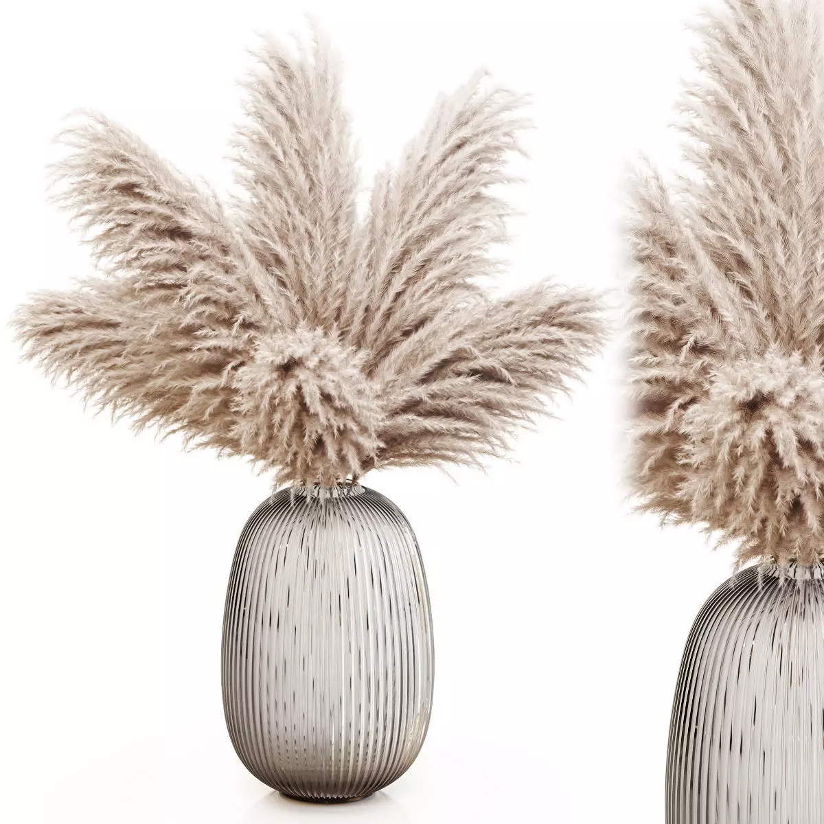 Pampas grass 8 3D model