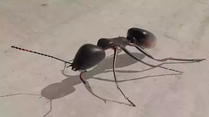 Ant 3D model rigged animated Low-poly 3D model