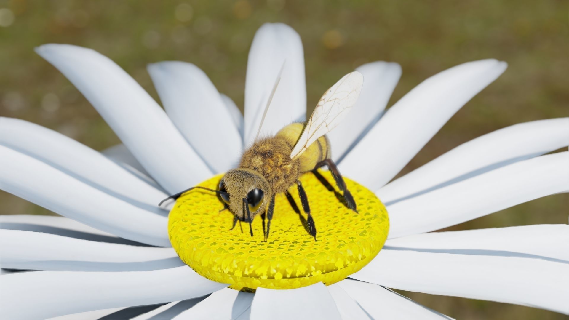 Ant and Bee rigged and animated animals 3D Model Collection_17