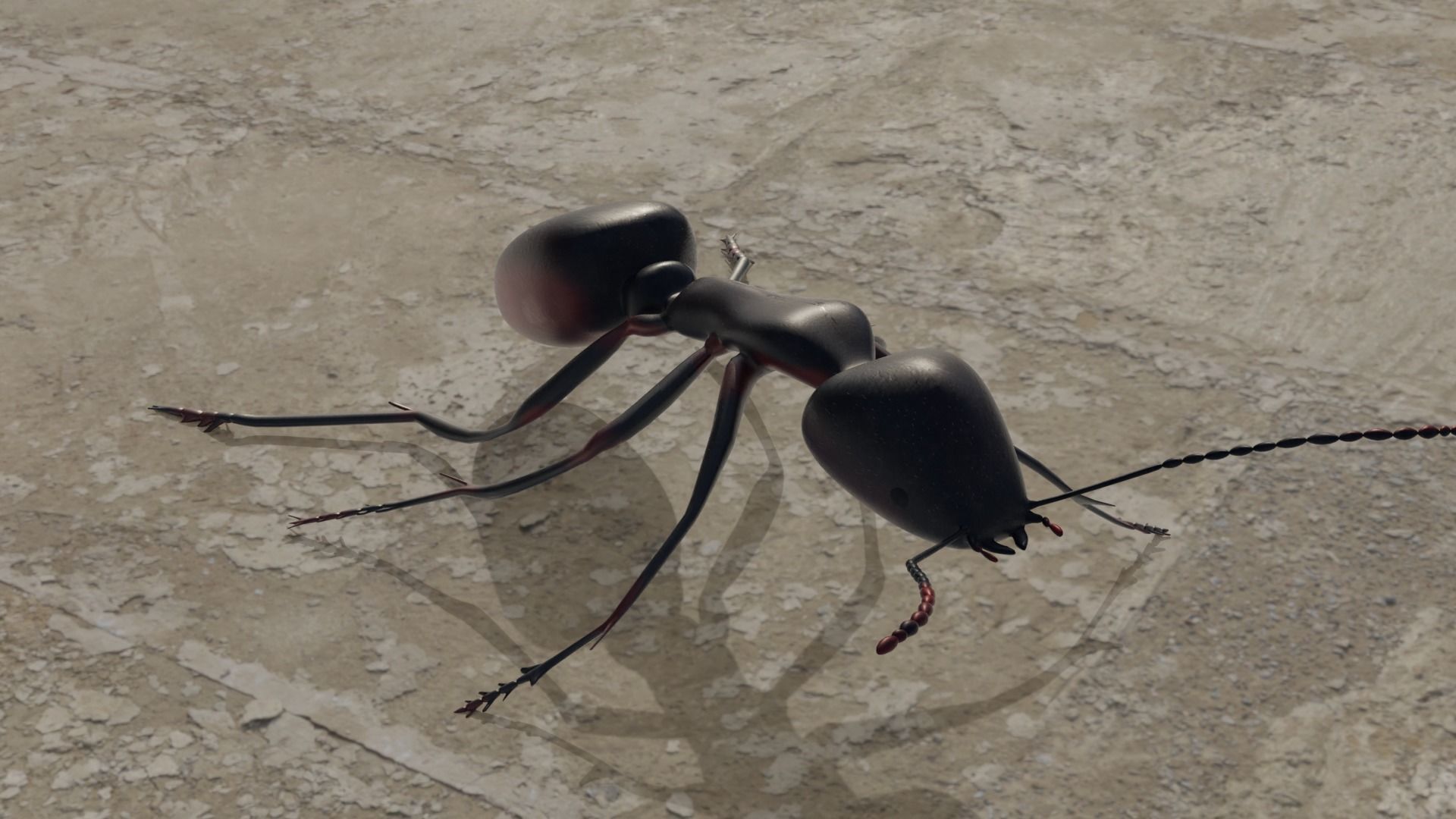 Ant and Bee rigged and animated animals 3D Model Collection_6