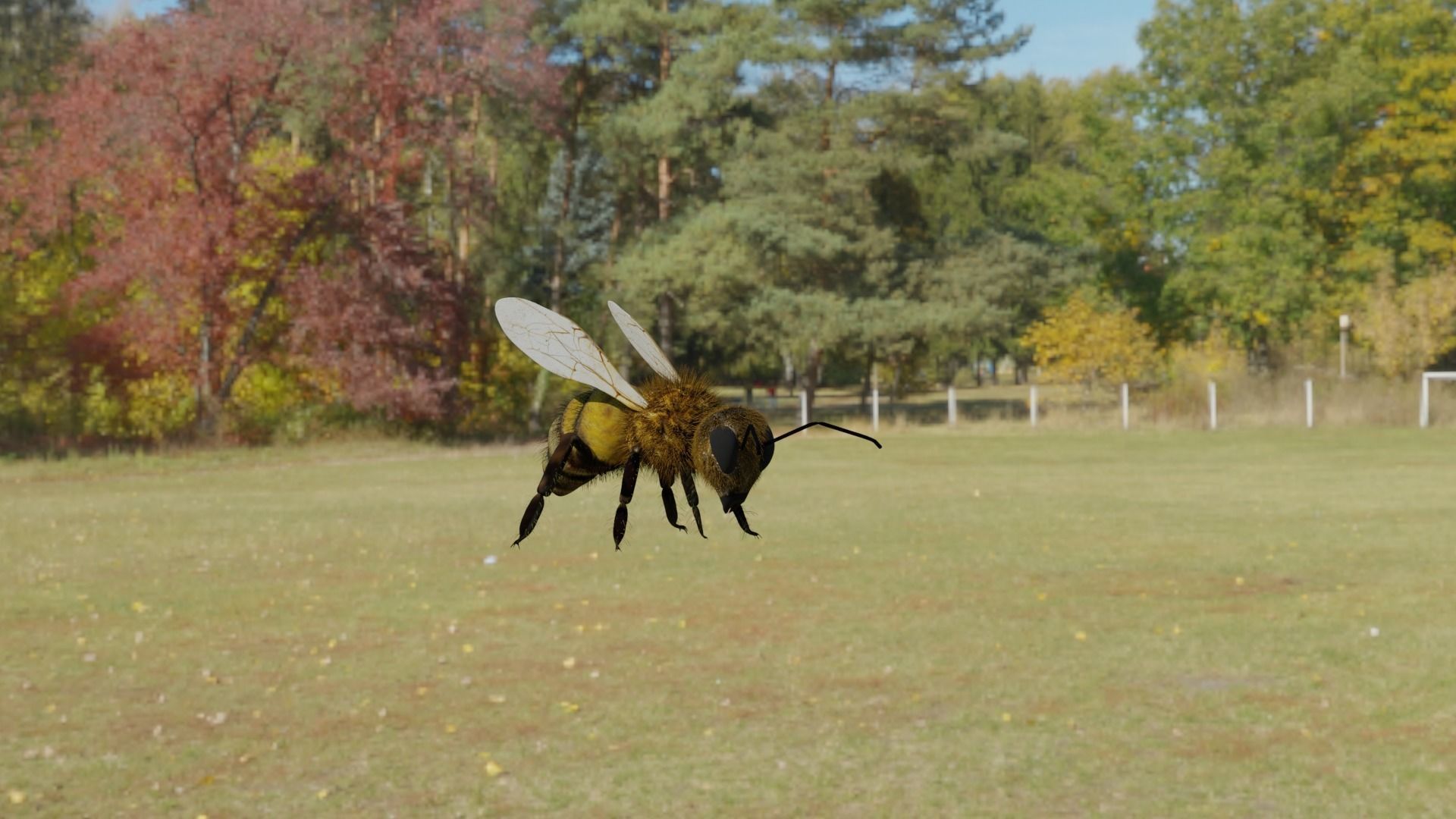 Ant and Bee rigged and animated animals 3D Model Collection_28