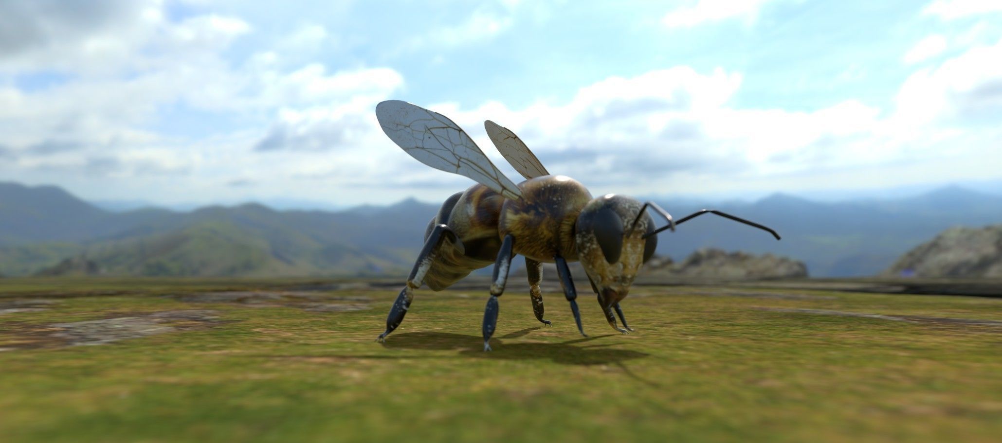 Ant and Bee rigged and animated animals 3D Model Collection_9