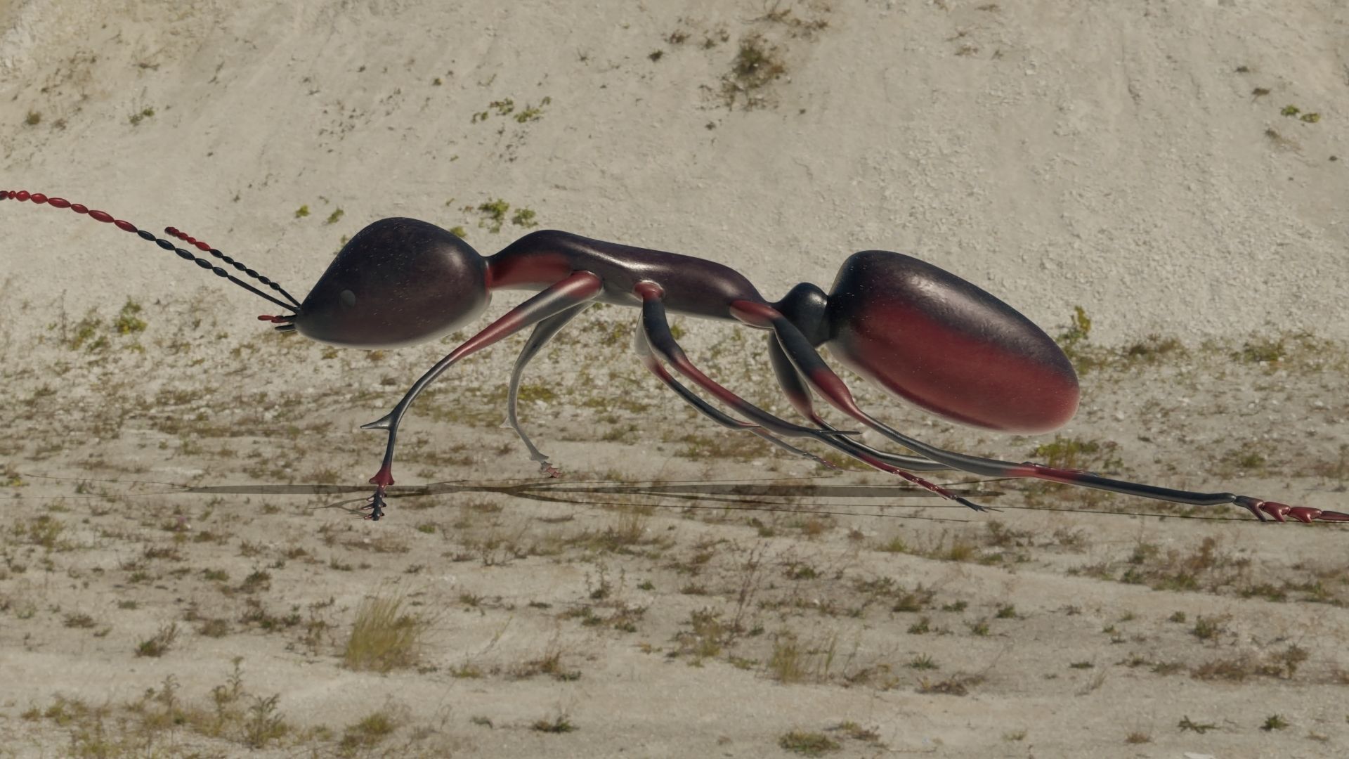 Ant and Bee rigged and animated animals 3D Model Collection_4