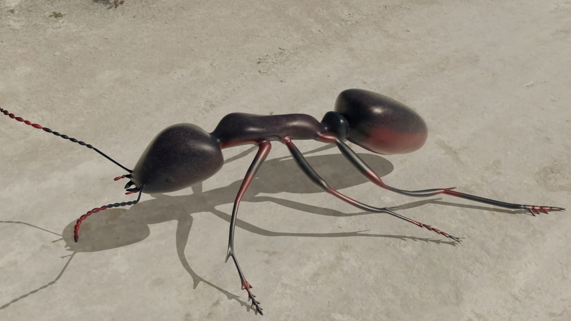 Ant and Bee rigged and animated animals 3D Model Collection_5