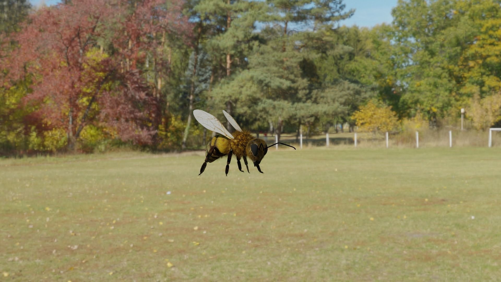 Ant and Bee rigged and animated animals 3D Model Collection_27