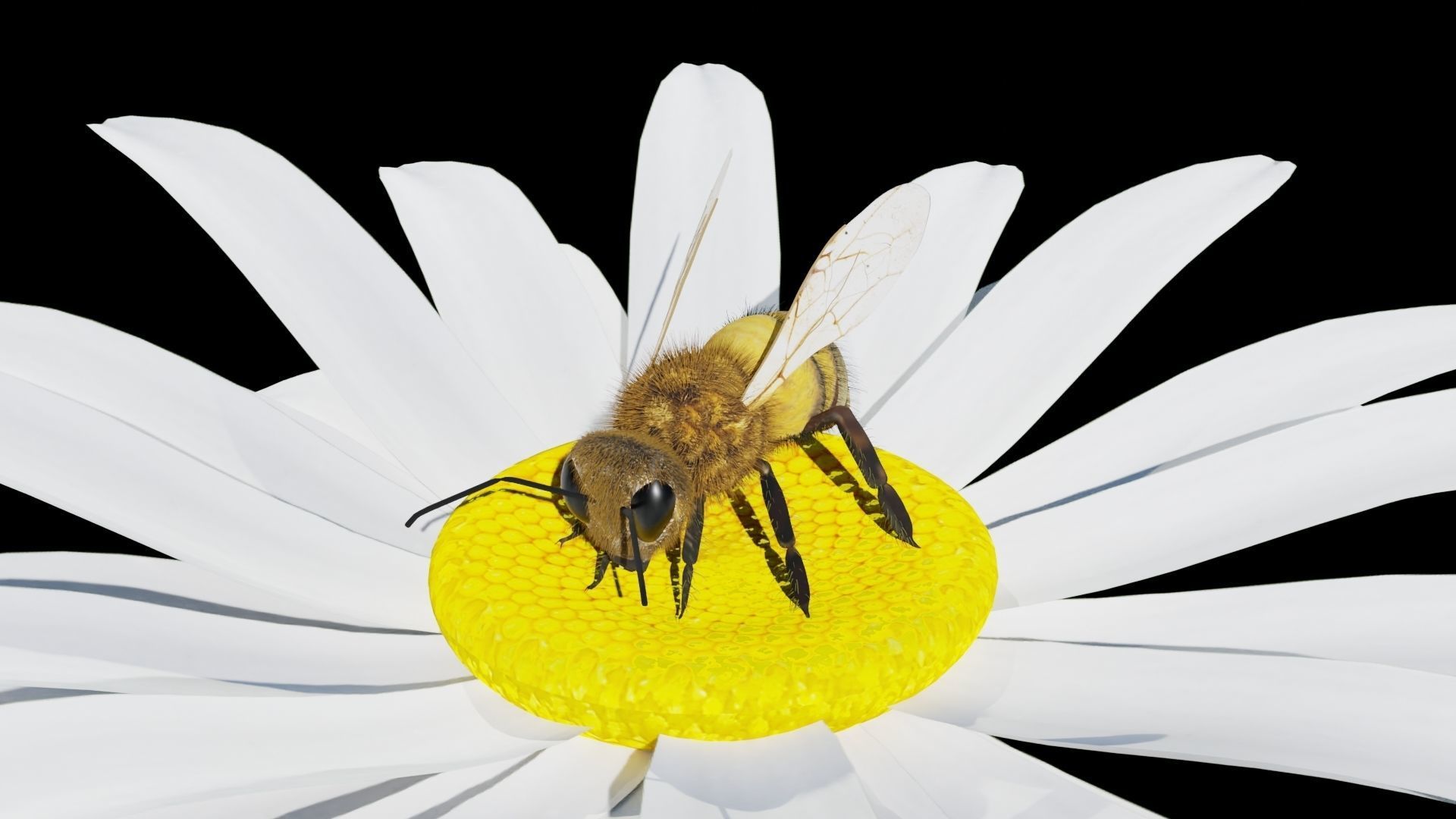 Ant and Bee rigged and animated animals 3D Model Collection_16