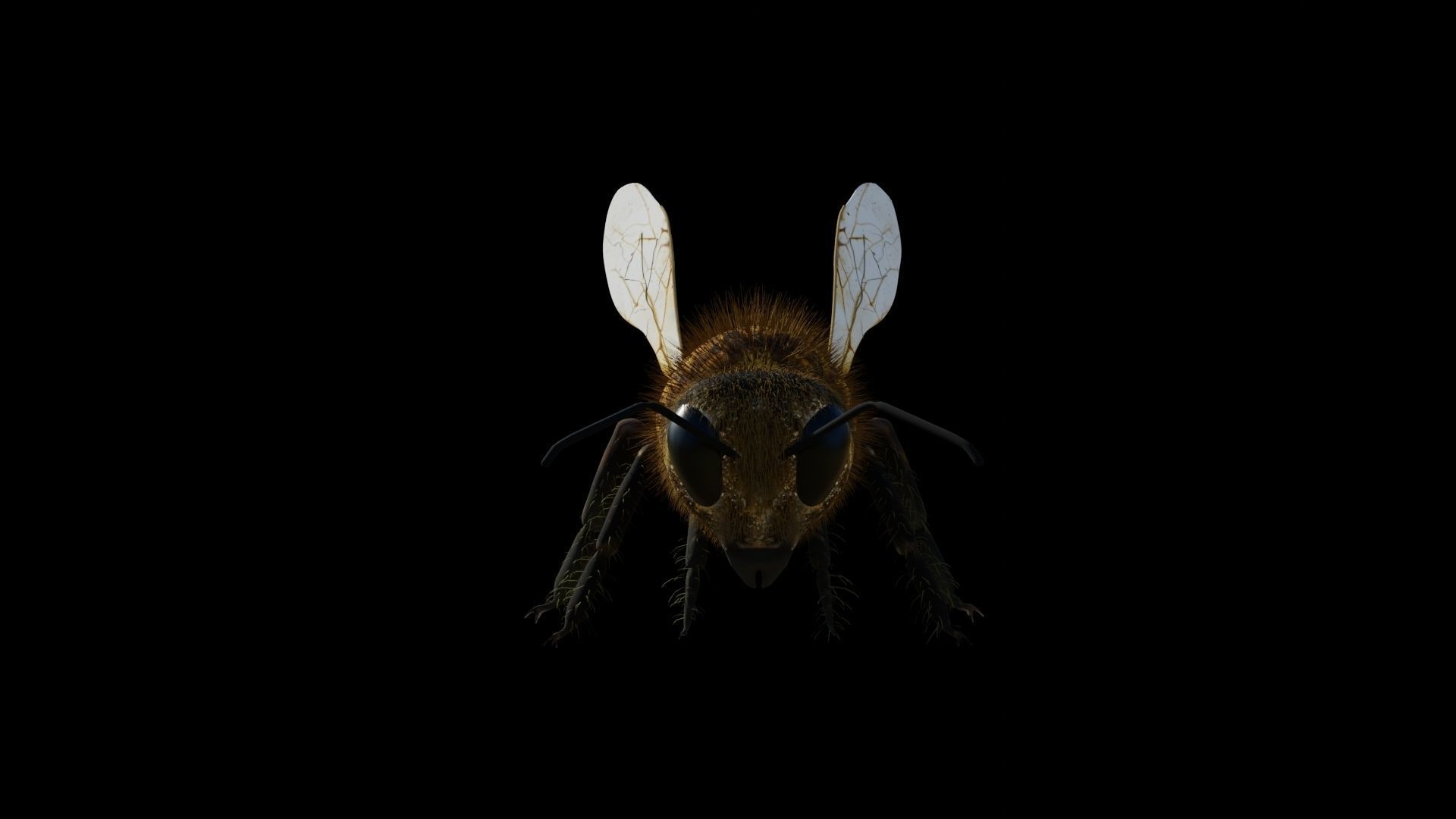 Ant and Bee rigged and animated animals 3D Model Collection_12