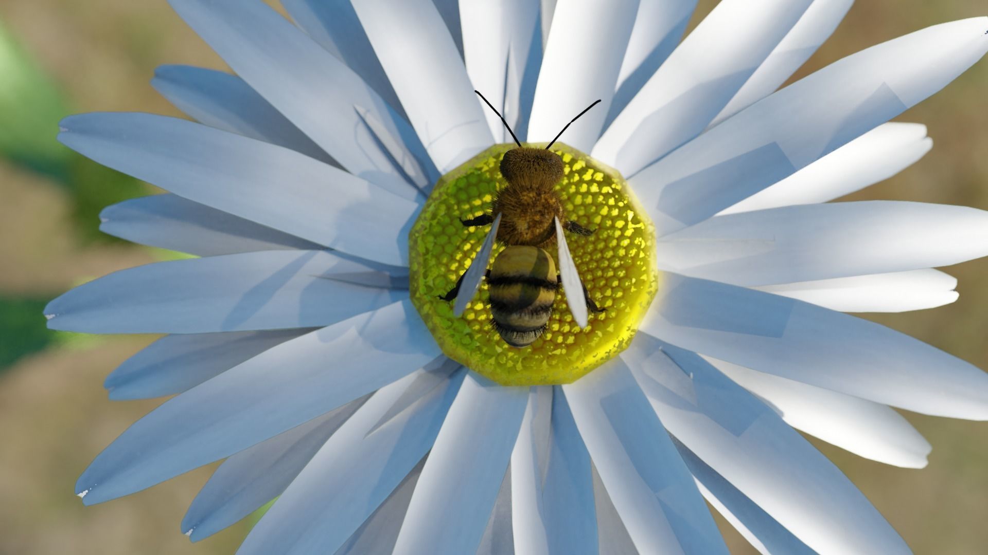 Ant and Bee rigged and animated animals 3D Model Collection_26