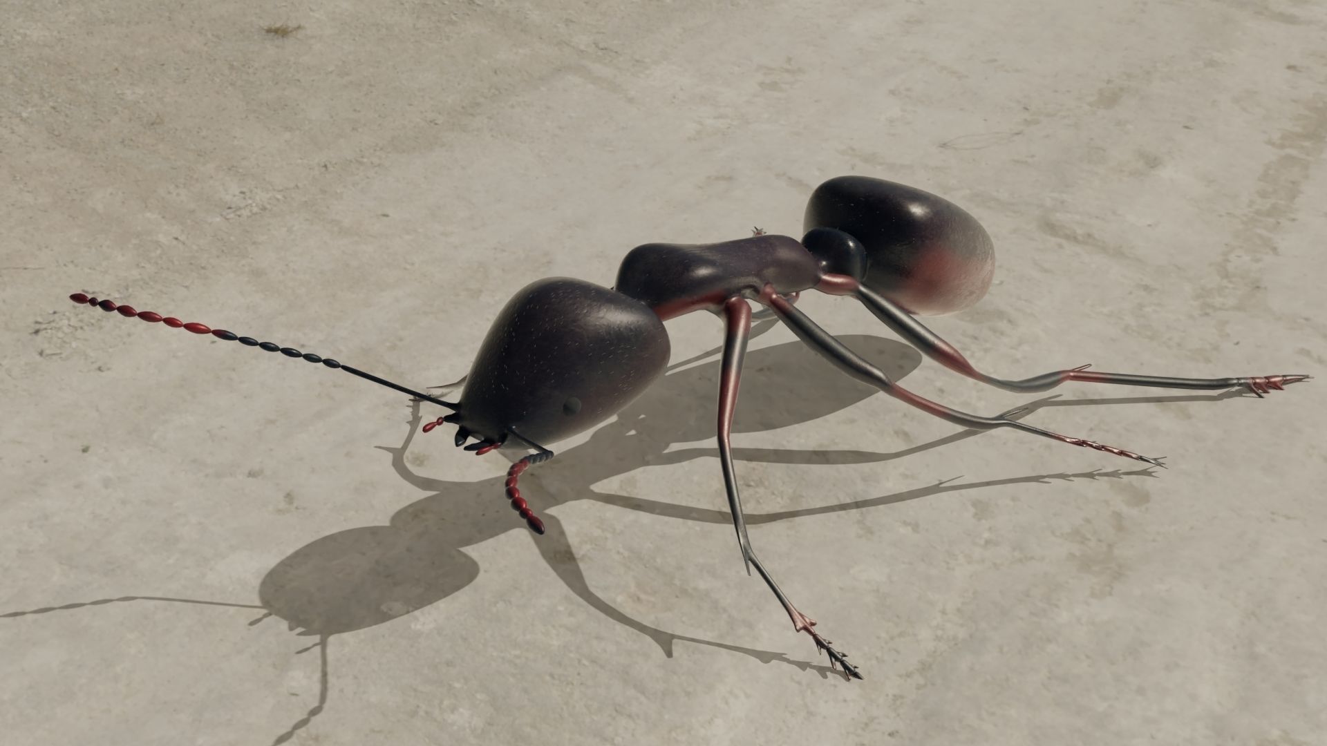 Ant and Bee rigged and animated animals 3D Model Collection_31