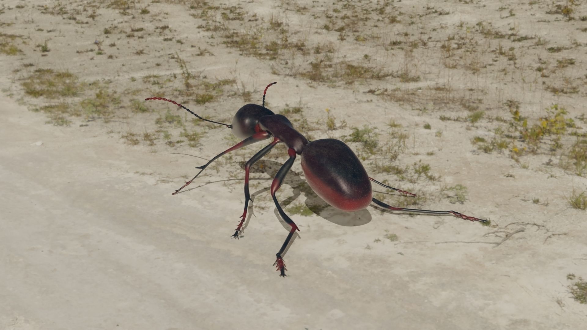 Ant and Bee rigged and animated animals 3D Model Collection_30
