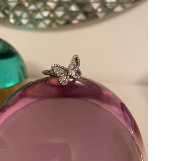 rings butterflay -CG280 3D print model_12