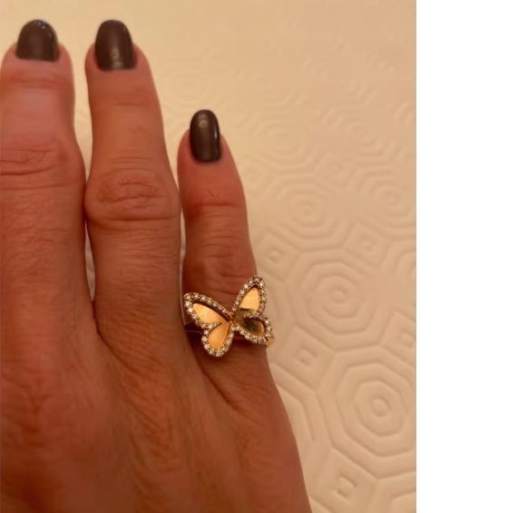 rings butterflay -CG280 3D print model_11