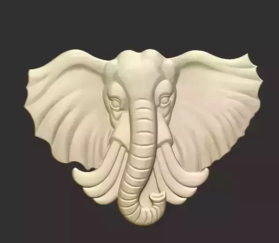elephant head