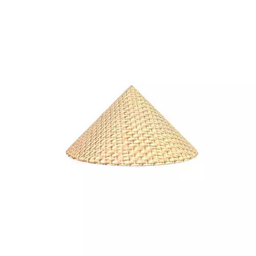 Bamboo Hat v1 001