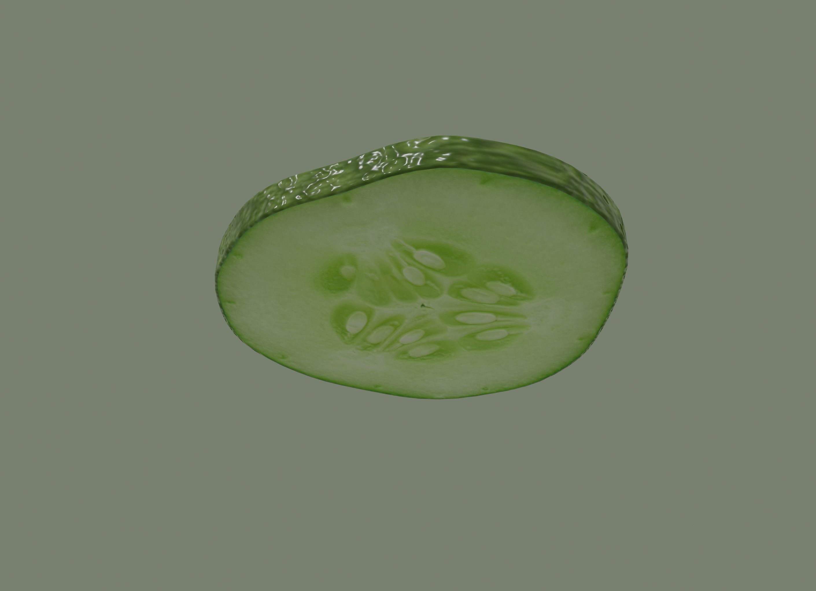 Cucumber Slice 3D model_3
