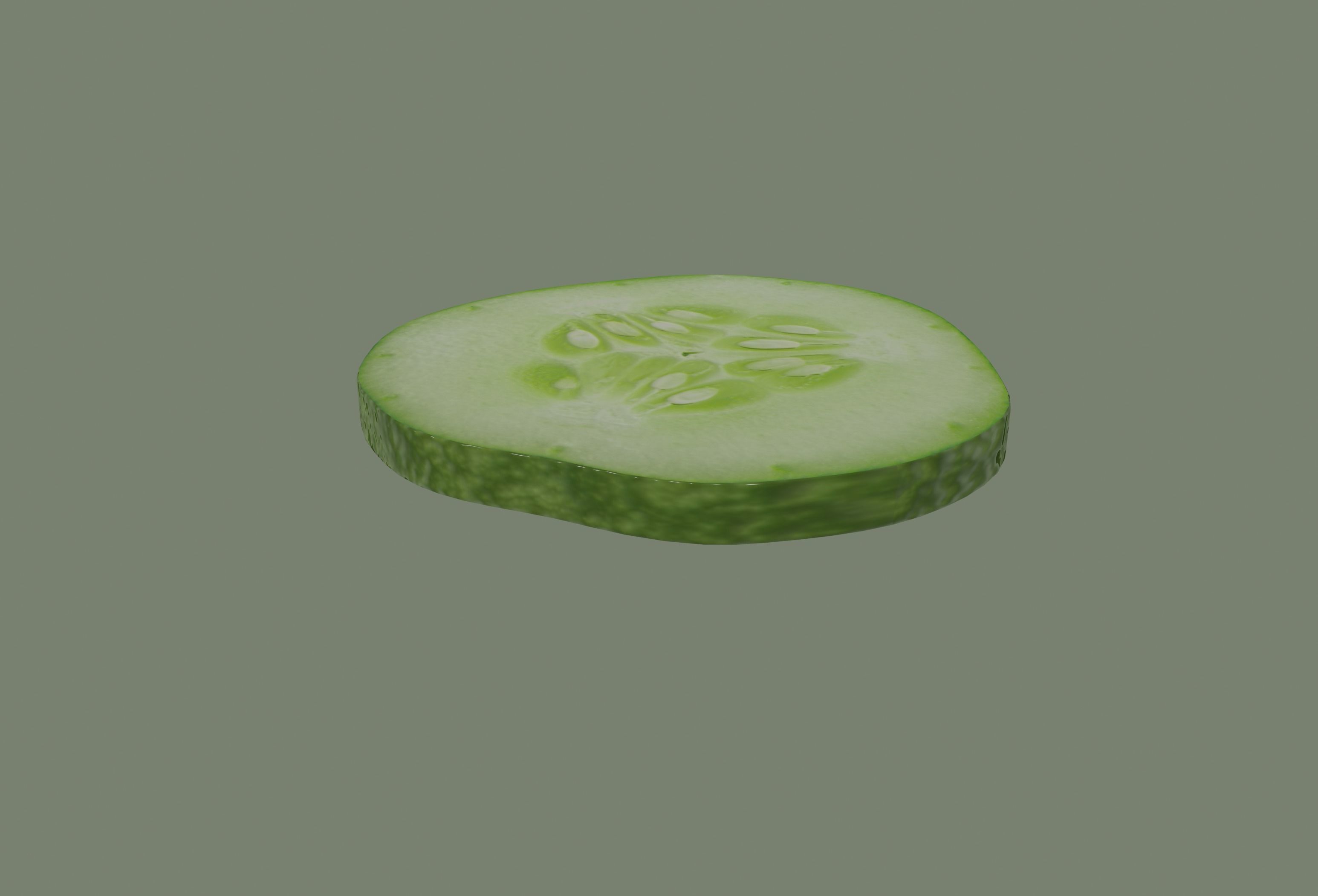 Cucumber Slice 3D model_1