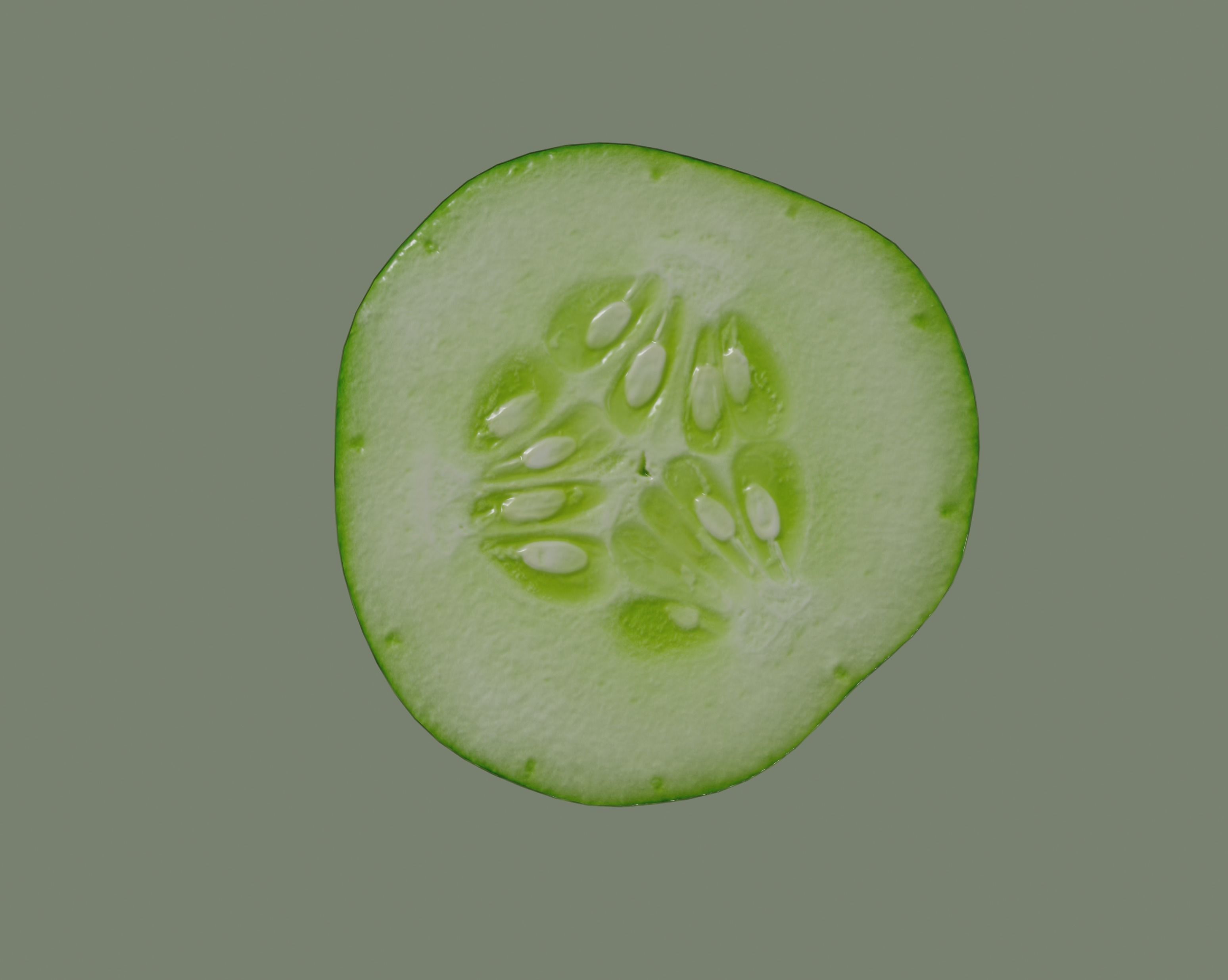 Cucumber Slice 3D model_6