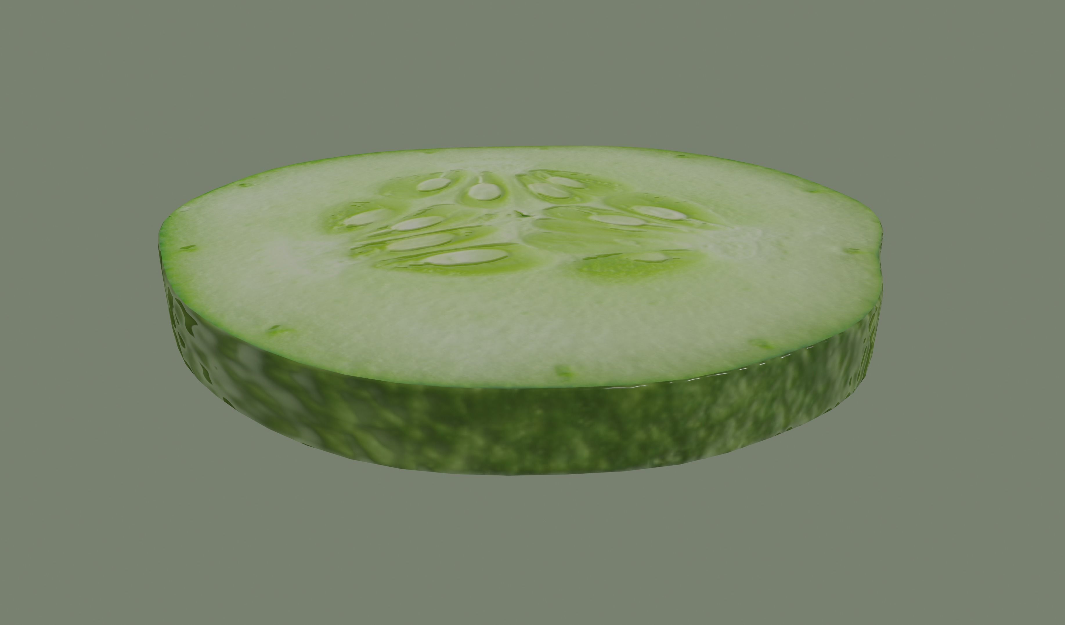 Cucumber Slice 3D model_5