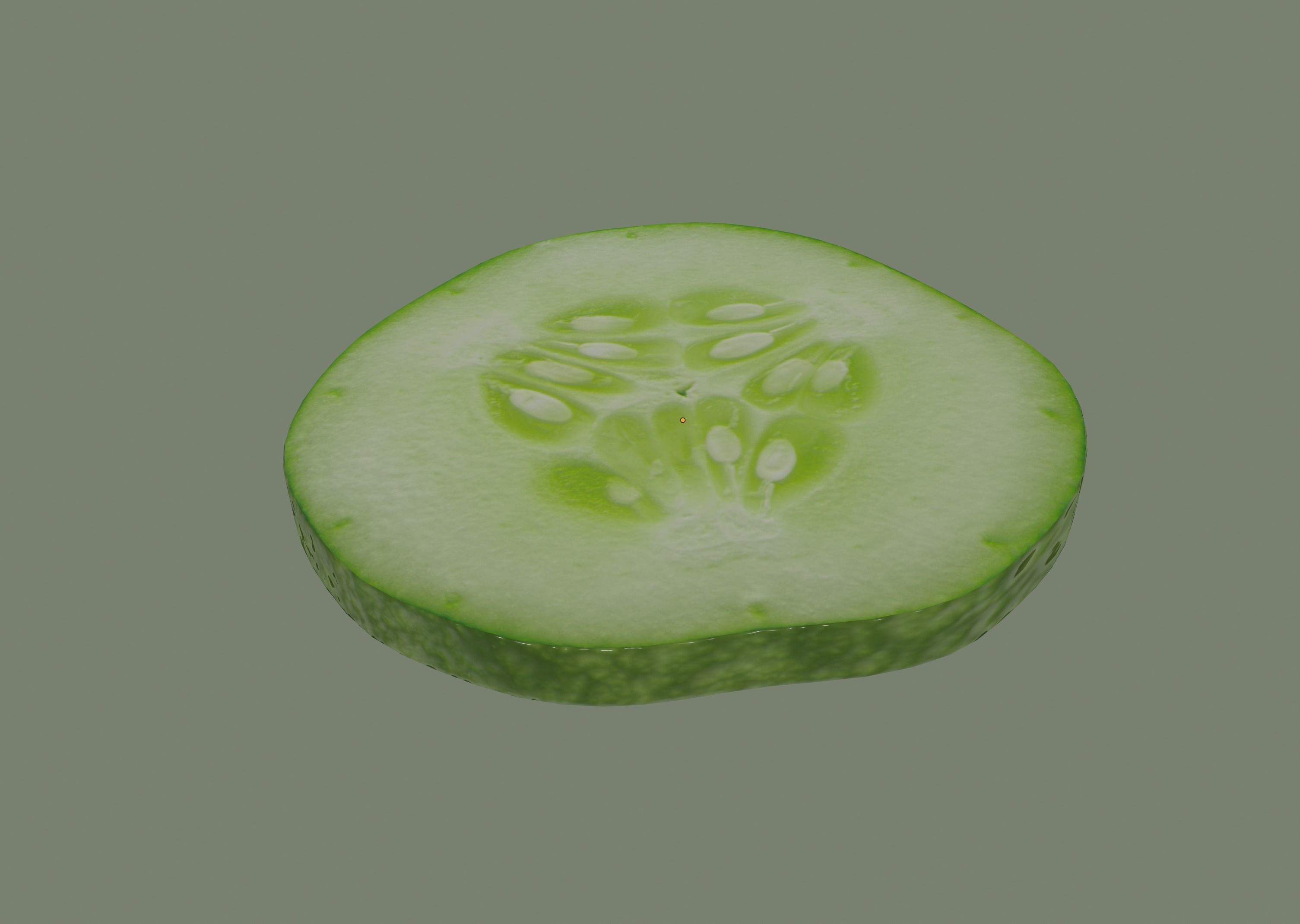 Cucumber Slice 3D model_8