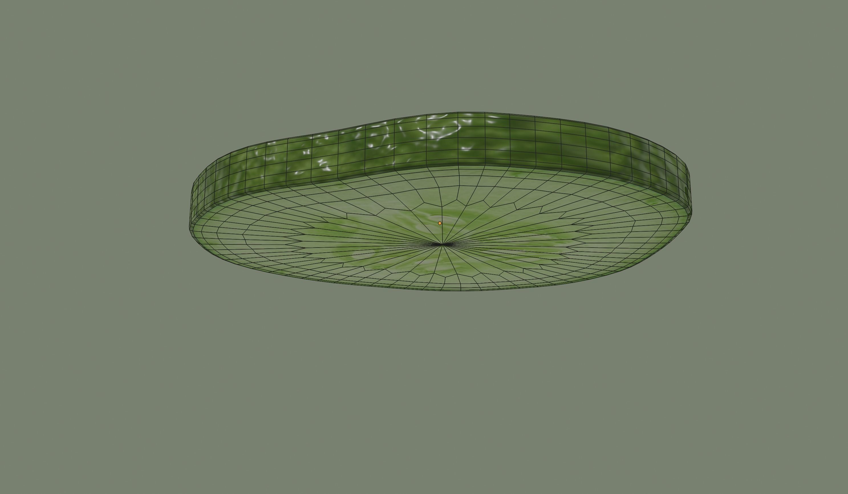 Cucumber Slice 3D model_11