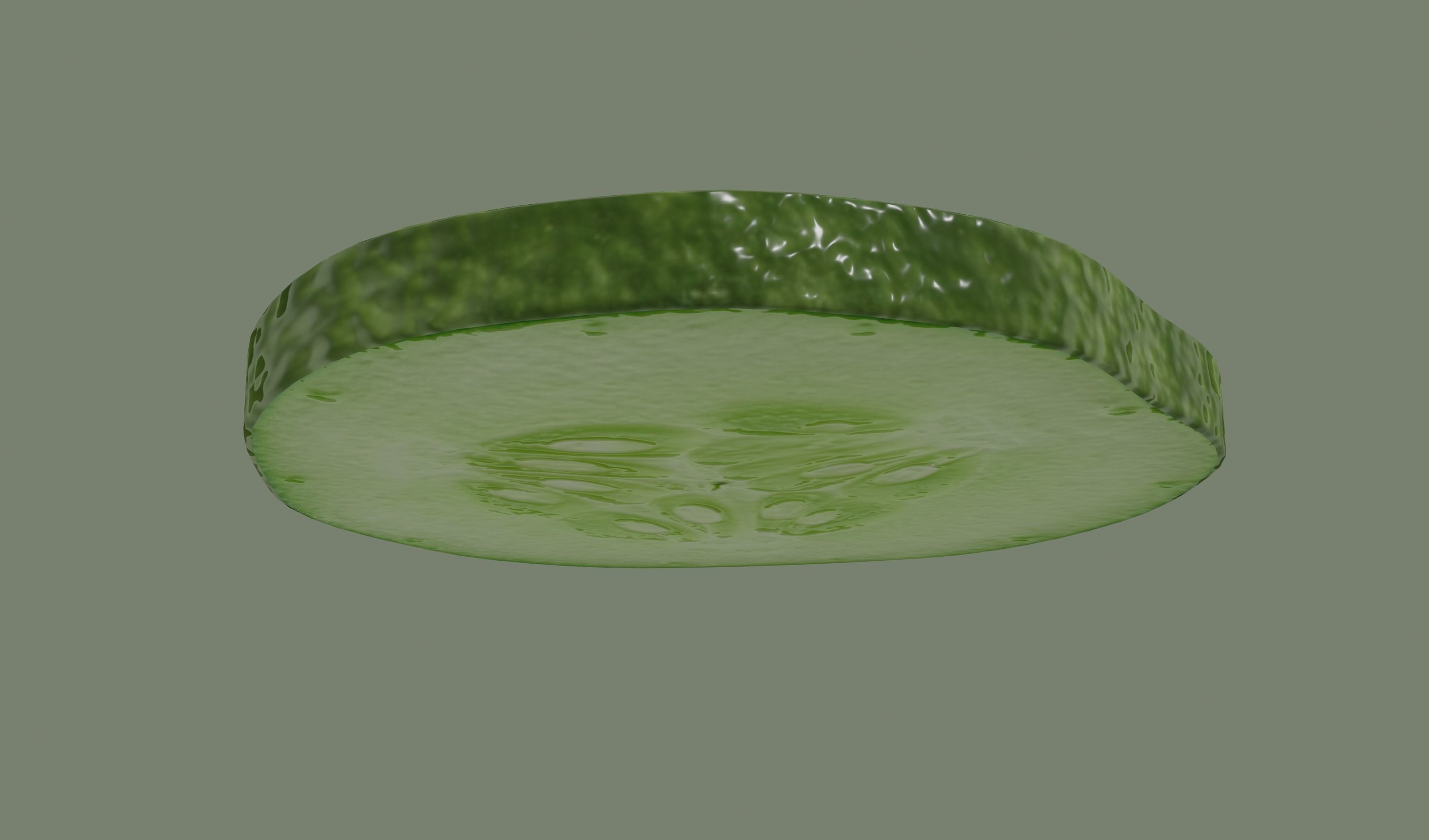Cucumber Slice 3D model_4